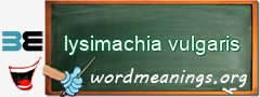 WordMeaning blackboard for lysimachia vulgaris